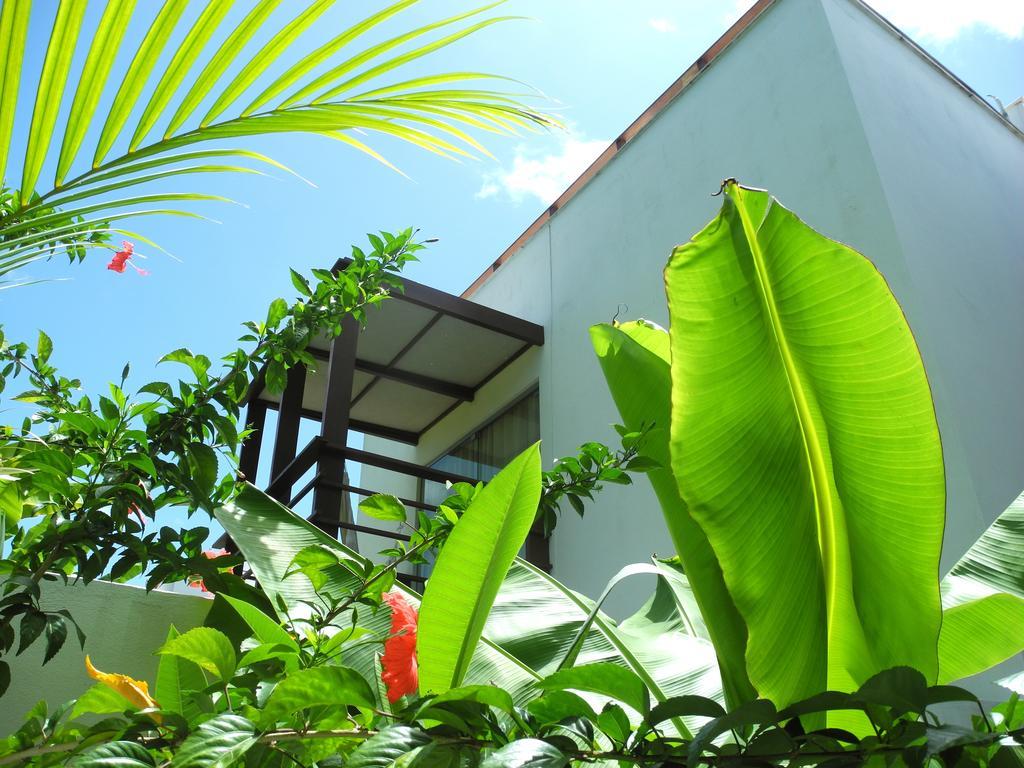 La Reserve Design Villa Ida Praia de Pipa Δωμάτιο φωτογραφία